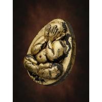 ราคา พระปิดตาจัมโบ้ รุ่นมหาเศรษฐี No.87 เนื้อชนวนมวลสาร นำฤกษ์ ปิดทองคำแท้ หลวงพ่อคูณ วรปัญโญ วัดบัลลังก์ ประกันว่าแท้ (29902981865)