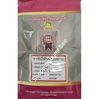 ราคา ( ขนาด 500 กรัม )เมล็ดพันธุ์ข้าวโพดทับทิมสยาม ข้าวโพดกินดิบได้ ข้าวโพดราชินีทับทิมสยาม ข้าวโพดหวานแดงทับทิมสยาม (20880557545)