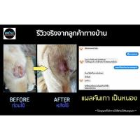 ราคา ﺴ۞❅ฺBACTLE สเปรย์ฆ่าเชื้อในสัตว์เลี้ยง (8569685690)