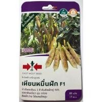ราคา เมล็ดข้าวโพดเทียนหมื่นฝัก ศรแดง (16505574685)