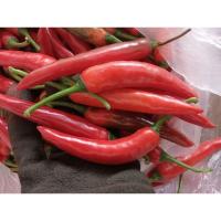 ราคา พริกแดงซุปเปอร์ฮอต 1 kg. สดสวยส่งทั่วไทย (24858646852)