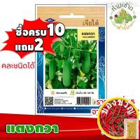 ราคา [10แถม2] เจียไต๋ เมล็ดพันธุ์ แตงกวา Cucumber ประมาณ 55 เมล็ด ตราเจียไต๋ เมล็ดพันธุ์ผัก เมล็ดผัก เมล็ดพืช ผักสวนครัว ปลูก (20459637978)