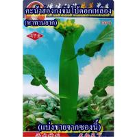 ราคา 400+ เมล็ด เมล็ดคะน้าฮ่องกงจัมโบ้ดอกเหลือง (หายาก ปลูกง่าย รสชาติหวานกรอบ ไม่เป็นเสี้ยน ไม่ขม ลำต้นอวบ ออกดอกสีเหลือง) (44466521995)