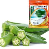 ราคา เมล็ดกระเจี๊ยบ 50 เมล็ด กระเจี๊ยบเขียว กระเจี๊ยบ กระเจี๊ยบขาว เมล็ดพันธุ์ผัก เมล็ดผักต่างๆ เมล็ดพันธุ์พืช เมล็ดผัก 12 (11978576654)