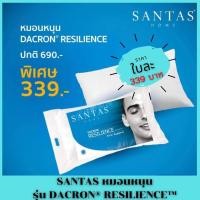 ราคา SANTAS หมอนหนุน - รุ่น DACRON® RESILIENCE™ (2662936567)