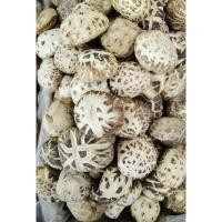 ราคา สดใหม่เห็ดหอมญี่ปุ่น (白花菇AAAA4) 4A4ขนาด 200g เห็ดเห็ด หอมญี่ปุ่น แท้เนื้อ แน่น กลิ่น หอม คัดเกรดที่ดีที่สุด สา มาเตร (22314037183)