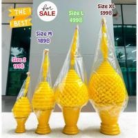 ราคา พุ่มเทียนโบราณ ขนาด L ฐานดินเผา (42056974890)