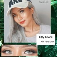 ราคา Mini Paris Gray (912382487)