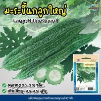 ราคา เมล็ดมะระขี้นกลูกใหญ่ ตราเจียไต๋ Large Bitter Gourd เมล็ดมะระขี้นก เมล็ดพันธุ์มะระขี้นก (28951237480)