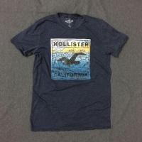 ราคา เสื้อยืดกราฟิก Hollister (27677690405)