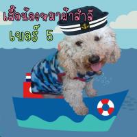 ราคา เสื้อหมา..แขนกุดเบอร์ 5 (ผ้าสำลี) (4011947107)