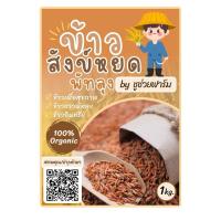 ราคา ข้าวสังข์หยดอินทรีย์ (12299429040)