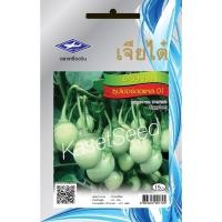 ราคา เมล็ดพันธุ์ มะเขือ มะเขือเปราะ ซุปเปอร์ตอแหล01 เจียไต๋ ผักซอง (1824975085)