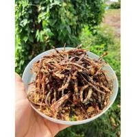 ราคา เห็ดลมทอดสมุนไพร เห็ดทอดสมุนไพร เห็ดลมทอดกรอบ 500กรัม (25351422650)