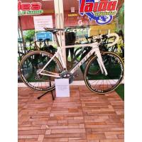 ราคา จักรยานเสือหมอบ SCOTT (42202406341)