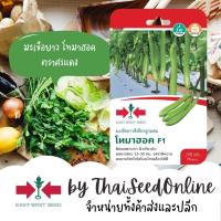 ราคา GGEW เมล็ดพันธุ์ มะเขือยาวสีเขียวลูกผสม โทมาฮอค F1 ตราศรแดง 150 เมล็ด ตราศรแดง Long Green Eggplant (18718435247)