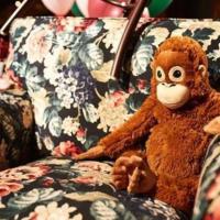 ราคา (ทักแชทเช็คของก่อนสั่งซื้อ) ตุ๊กตาลิง อุรังอุตัง ลิงน้อย ตัวเล็ก น่ารัก ขนนุ่ม สีน้ำตาลแดง ลิง ตุ๊กตา (1070701669)