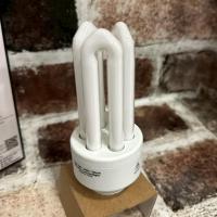 ราคา หลอด หลอดตะเกียบ หลอดทอร์นาโด ประหยัดไฟ 8W-25W พานา (44267581543)