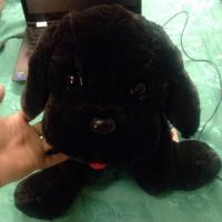 ราคา ตุ๊กตาน้องหมา เฉาก๊วย St. Andrews (730276177)