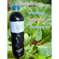 ราคา น้ำหมักขี้วัว(โคขุน) (41704777725)