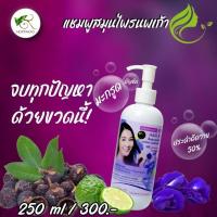 ราคา แชมพูสมุนไพรนพเก้ามะกรูด อัญชัน ประคำดีควาย 50% (24069411492)