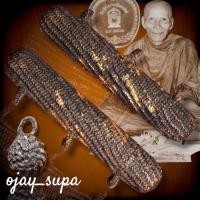 ราคา ตะกรุดสามห่วง (หนังหน้าผากสือ) หลวงพ่อเต๋ วัดสามง่าม จ.นครปฐม ยุคต้น-กลาง (28439542895)