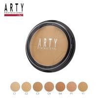 ราคา Arty Professional Perfect Powder Foundation SPF38 PA+++ 13g