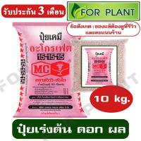 ราคา ปุ๋ย เคมี ตราหัววัว สูตร 15-15-15 บรรจุ 10 กก. ปุ๋ยเร่งต้น ใบ ดอก ผล ใส่ผัก ผลไม้ ไม้ดอกไม้ประดับ (7415595346)