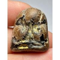 ราคา พระปิดตาหลวงพ่อแก้ว วัดเครือวัล พิมพ์หลังแบบ (25530146622)