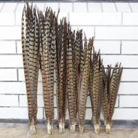 ราคา DIY เครื่องประดับธรรมชาติป่าขนไก่ฟ้าตลกแมวติดขนหางปักกิ่งโอเปร่า Lingzi ไก่ฟ้าหาง 30-90 ซม. (21474371444)