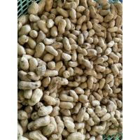 ราคา ถั่วลิสง ถั่วดินดิบเม็ดใหญ่ราคากิโลกรัมละ45บาทค่ะขายถูกๆๆๆ (8444841037)