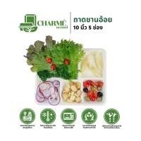 ราคา CHARMÉ ถาดชานอ้อย 10 นิ้ว 5 ช่อง (แพ็ค 50 ชิ้น) ถาดหลุม ถาดใส่อาหาร ย่อยสลายได้ เข้าไมโครเวฟได้ (25343527982)