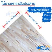 ราคา ไม้ยางพาราประสาน,ไม้อัดประสาน ไม้ยางพารา หนา 10,12มิล ขนาด 120x200ซม. (กว้าง120xยาว200ซม.) จำนวน 1แผ่น (17553702946)