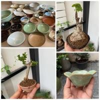 ราคา Lot3/10 กระถางสไตล์ญี่ปุ่นมือสอง (7645748158)