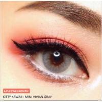 ราคา Mini Vivian Gray(สายฝอ)สายตา-2.25(kitty kawaii) (2322657799)