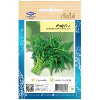 ราคา ผักบุ้งจีน (CHAINESE CONVOLVULUS) 20 กรัม (29903233176)