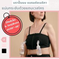 ราคา SALE เสื้อในปั๊มนม แบรนด์อเมริกา บราปั๊มนม อุปกรณ์เสริมเครื่องปั๊มนม (7232916794)