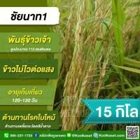 ราคา เมล็ดพันธุ์ข้าว ข้าวเจ้า ชัยนาท1 นาปี นาปรัง ไม่ไวแสง ทุกสภาพพื้นที่ 15 กก. คูลเกษตรไรซ์ KR40 (28185671253)