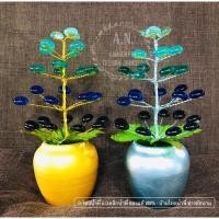 ราคา ต้นไหลน้ำพี้ (ไหล 29 เม็ด) ไหลดำ ไหลเขียว ไหลน้ำเงิน ไหลขาว (1662318537)