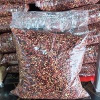 ราคา หญ้าสวีทจัมโบ้ เมล็ดพันธุ์หญ้าสวีทจัมโบ้ (8814532440)