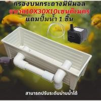 ราคา กรองกระถางมินิมอลขนาด 10x30x10 เซนติเมตร แถมปั้มน้ำ 1 ชิ้นพร้อมใช้งาน กรองคอนโด กรองคอนโดตู้ปลา ตู้ปลาสวย กรองน้ำตู้ปลา (42010471029)