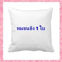 ราคา ไส้หมอนอิง ใยสังเคราะห์ ขนาด 40x40 ซม. 1ใบ สีขาว ใส้หมอนอิง หมอนอิง ไส้ในหมอน (4733880167)