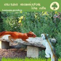 ราคา กระรอกแต่งสวน กระรอกตุ๊กตา เรซิ่น กระรอกน้อย ตุ๊กตาเรซิ่น แต่งสวนสวย ตุ๊กตาประดับสวน มี3สี Aomam garden (17096097734)