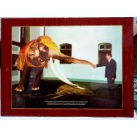 ราคา ภาพ ร.9 คุณพระเศวต ภาพในหลวงรัชการที่9 ขนาด18×24"นิ้ว กับช้างคู่บารมี คู่บ้านคู่เมือง (23500587124)