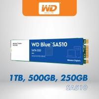 ราคา WD Blue SA510 SSD 500GB ,250GB M.2,SATA 3(6GB/S) - WDBLUE WDS250G3B0B WDS500G3B0B เอสเอสดี MemoryBiz (29767639816)