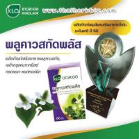 ราคา Khaolaor ขาวละออ พลูคาวสกัดพลัส พลูคาวสกัดผสมเบต้ากลูแคนและวิตามินซี 60 เม็ด/กล่อง (25923943228)