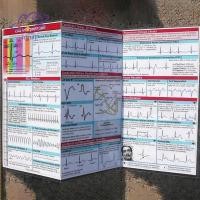 ราคา [mayhome] คู่มือพกพา EKG, EKG Rhythm Interpretation, การ์ดอ้างอิงแบบพกพาขนาดกะทัดรัดสองด้าน, คู่มือ ECG แผ่นความร้อนสําหรับพยาบาล EKG Techs นักเรียน (1/2 ชิ้น) {TH} (27782872347)