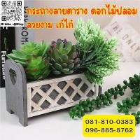 ราคา สินค้าพร้อมส่งในไทย กระถางต้นไม้ กระถาง ดอกไม้ ต้นไม้ ดอกไม้ปลอม ต้นไม้ปลอม ประดับตกแต่ง ตั้งโชว์ (29031737788)