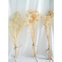 ราคา ดอกไม้แห้ง ชุดเซตดอกไม้ขาว 3 ชนิด จิปโซ อคิเลีย ชมพูทิพย์ (2190235672)