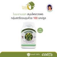 ราคา ใบมะขามแขกแคปซูล สมุนไพรดวงพร 100 แคปซูล - (1 ขวด) (11166629694)